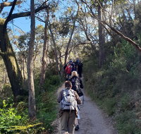 Mount Lofty Hike and Cleland Wildlife Park Day Trip from Adelaide - Tourism Gold Coast