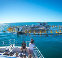 2 Hour Aquarium Tour - Tourism Gold Coast