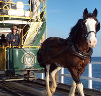 Full-Day Tour in South Australia Highlights - Tourism Gold Coast