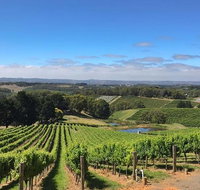 Small-Group Full-Day Adelaide Hills and Hahndorf Wine Tour from Adelaide - Tourism Gold Coast