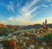 7-Night Murraylands and Wildlife Cruise - Tourism Gold Coast