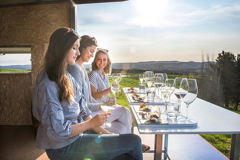 The Lane Vineyard: Panorama Private Wine Tasting Experience - Tourism Gold Coast 3