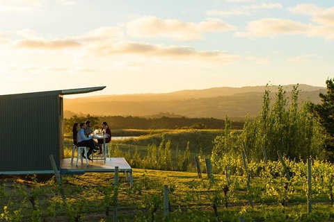 The Lane Vineyard: Panorama Private Wine Tasting Experience - Tourism Gold Coast 2