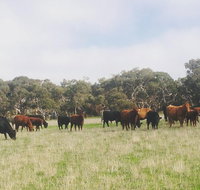 Waitpinga Farm Quad-Bike Tour - Tourism Gold Coast