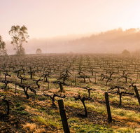 Barossa Valley Private Tour It's your tour the way you want it. - Tourism Gold Coast