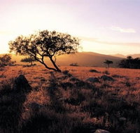 Adelaide To Coober Pedy 7 DAY SMALL GROUP 4WD SAFARI - Tourism Gold Coast