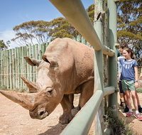 Rhino Interactive and a day at Monarto Safari Park - Tourism Gold Coast