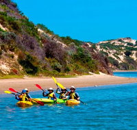 Half-Day Kayaking Tour in Coorong National Park - Tourism Gold Coast