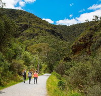 Morialta Wilderness and Wildlife Hike - Day Trip from Adelaide - Tourism Gold Coast