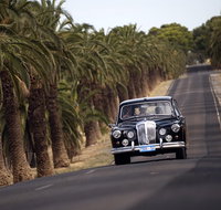 Private Barossa Valley Winery Tour by Classic 1962 Daimler from the Barossa Valley - Tourism Gold Coast