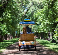 Adelaide 90-Minute Pedicab Tour Scenic Green  River Experience - Tourism Gold Coast