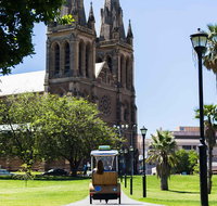 Adelaide 90-Minute Pedicab Tour City Sights Experience - Tourism Gold Coast