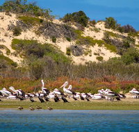 Murray Mouth Cruise - Tourism Gold Coast