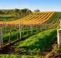 Victor Harbor with McLaren Vale Wine Region Tour from Adelaide - Tourism Gold Coast