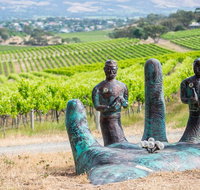 Learn about biodynamics and wine production in McLaren Vale - Tourism Gold Coast