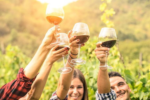 Adelaide Hills Day Tour. Winery Cellar Doors - Tourism Gold Coast 6