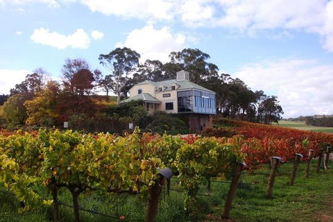 Adelaide Hills Day Tour. Winery Cellar Doors - Tourism Gold Coast 5