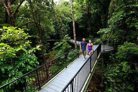 5-Day Best Of Cairns With Daintree, Kuranda, And Great Barrier Reef - Tourism Gold Coast 4