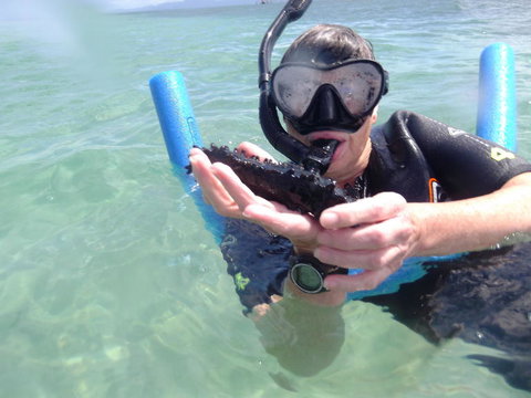 Great Barrier Reef Sailing And Snorkeling Cruise From Port Douglas - Tourism Gold Coast 4