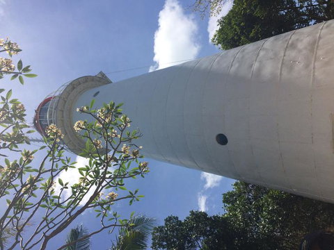 Great Barrier Reef Sailing And Snorkeling Cruise From Port Douglas - Tourism Gold Coast 2