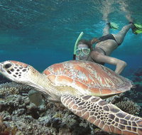 Great Barrier Reef Sailing and Snorkeling Cruise from Port Douglas - Tourism Gold Coast