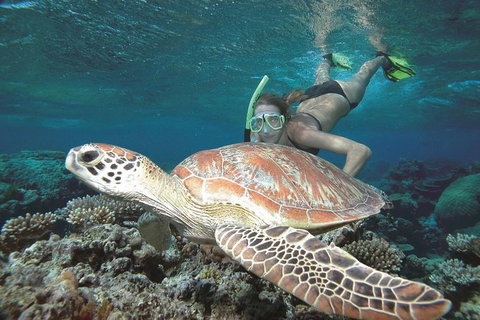 Great Barrier Reef Sailing And Snorkeling Cruise From Port Douglas - Tourism Gold Coast 5