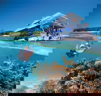 3-Day Southern Great Barrier Reef Tour Including Lady Musgrave Island - Gold Coast