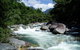 Daintree Rainforest, Cape Tribulation, Mossman Gorge In A Day - thumb 0