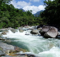 Daintree Rainforest Cape Tribulation Mossman Gorge in a day - Tourism Gold Coast