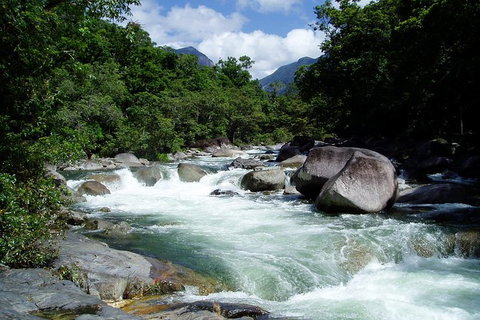 Daintree Rainforest, Cape Tribulation, Mossman Gorge In A Day - Tourism Gold Coast 2