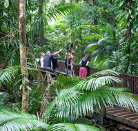 Full Day Daintree Rainforest and Mossman Gorge Tour - Tourism Gold Coast
