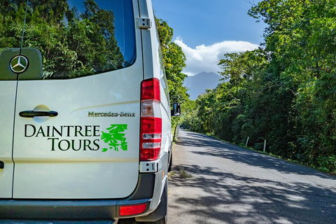 Full Day Daintree Rainforest And Mossman Gorge Tour - Tourism Gold Coast 4