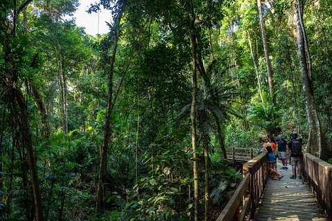 Full Day Daintree Rainforest And Mossman Gorge Tour - Tourism Gold Coast 10