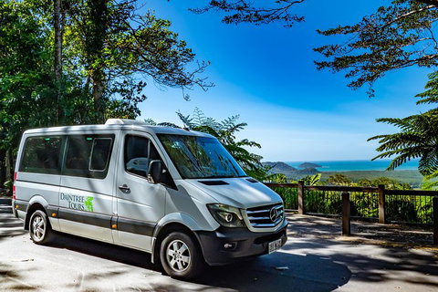 Full Day Daintree Rainforest And Mossman Gorge Tour - Tourism Gold Coast 6