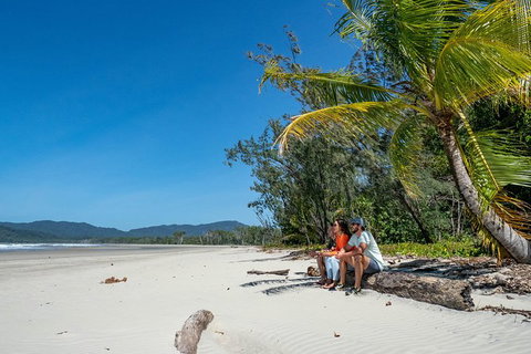 Full Day Daintree Rainforest And Mossman Gorge Tour - Tourism Gold Coast 11