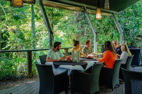 Full Day Daintree Rainforest And Mossman Gorge Tour - Tourism Gold Coast 8