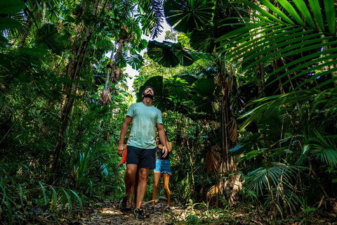 Full Day Daintree Rainforest And Mossman Gorge Tour - Tourism Gold Coast 12