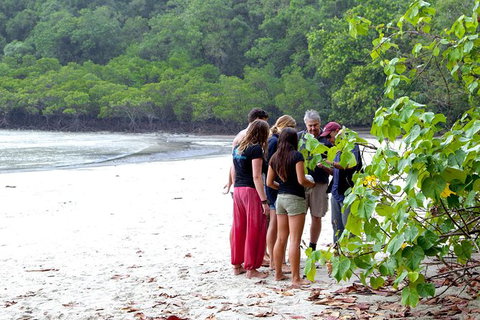 Full Day Daintree Rainforest And Mossman Gorge Tour - Tourism Gold Coast 7