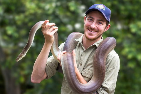 Lone Pine Koala Sanctuary Day Pass - Gold Coast 1