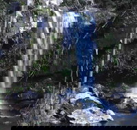 You Choose the Tour Brisbane Private Chauffeur Driven Personal Tour - Gold Coast