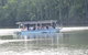 Daintree - Cape Tribulation & Atherton Tablelands Tours From Port Douglas - thumb 16