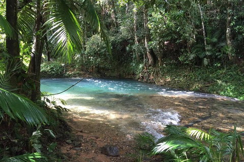 Daintree - Cape Tribulation & Atherton Tablelands Tours From Port Douglas - Tourism Gold Coast 5