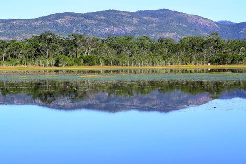 Daintree - Cape Tribulation & Atherton Tablelands Tours From Port Douglas - Tourism Gold Coast 13