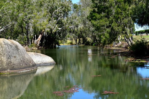 Daintree - Cape Tribulation & Atherton Tablelands Tours From Port Douglas - Tourism Gold Coast 28