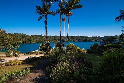 Daintree - Cape Tribulation & Atherton Tablelands Tours From Port Douglas - Tourism Gold Coast 25
