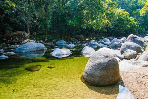 Daintree - Cape Tribulation & Atherton Tablelands Tours From Port Douglas - Tourism Gold Coast 6