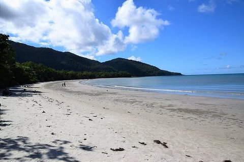 Daintree - Cape Tribulation & Atherton Tablelands Tours From Port Douglas - Tourism Gold Coast 18