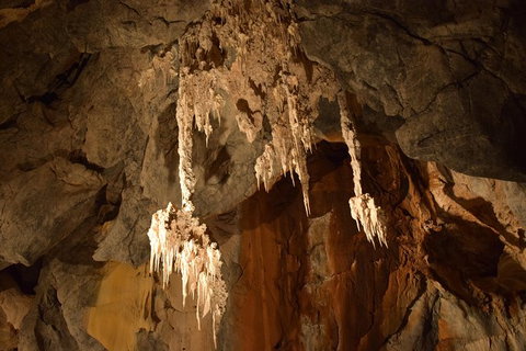 Daintree - Cape Tribulation & Atherton Tablelands Tours From Port Douglas - Tourism Gold Coast 23