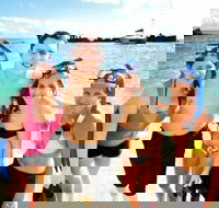 Moreton Island Snorkel and Sandboarding 4WD Day Trip from Brisbane - Gold Coast