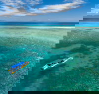 Ocean Safari Great Barrier Reef Experience in Cape Tribulation - Tourism Gold Coast